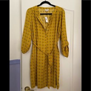 Brand new Loft dress